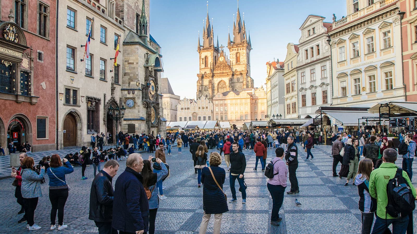 Vindrose rejser baggrunds billede