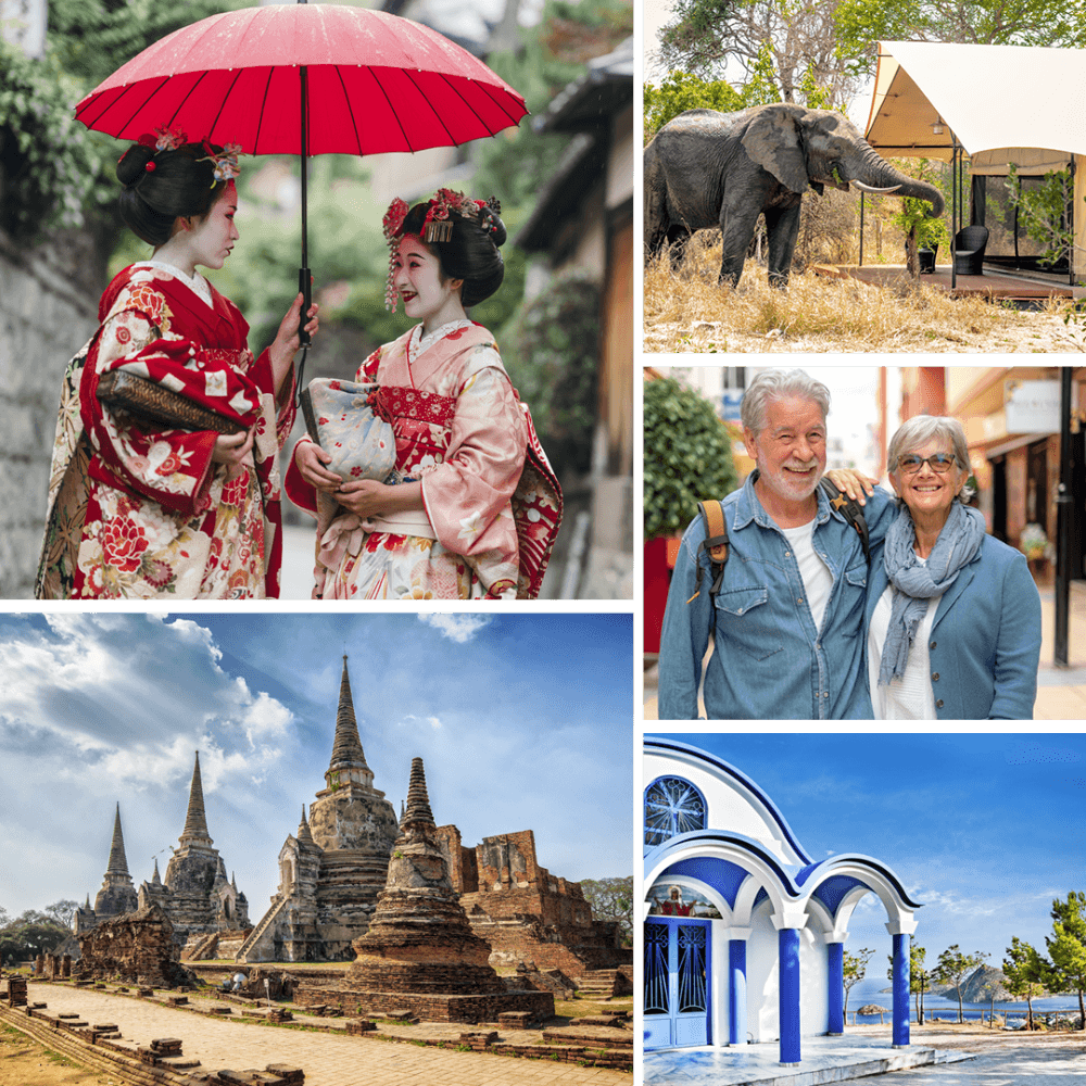 Albatros travel baggrunds billede