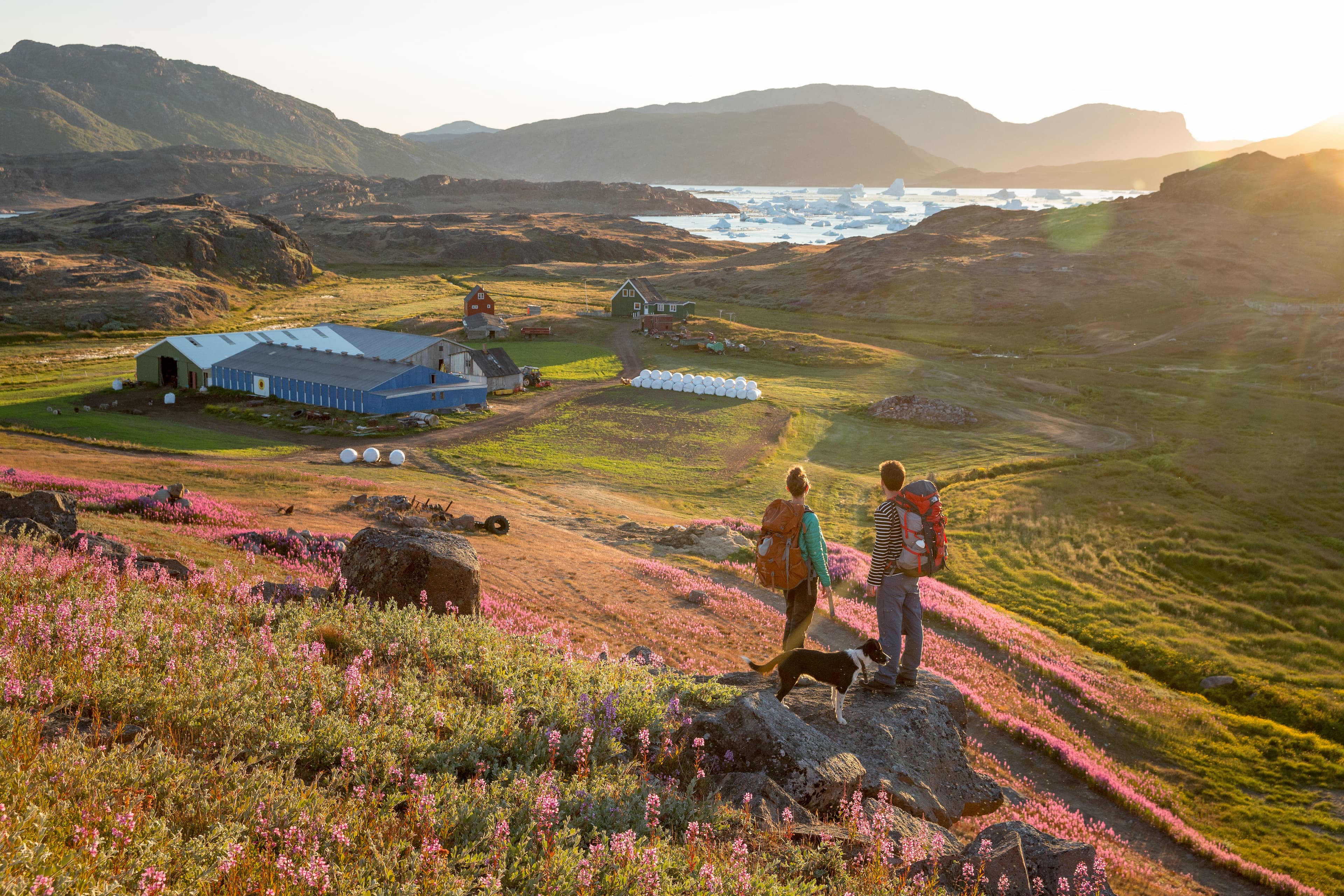 101_Frodige-Sydgroenland-@Mads-Pihl-Visit-Greenland.jpg