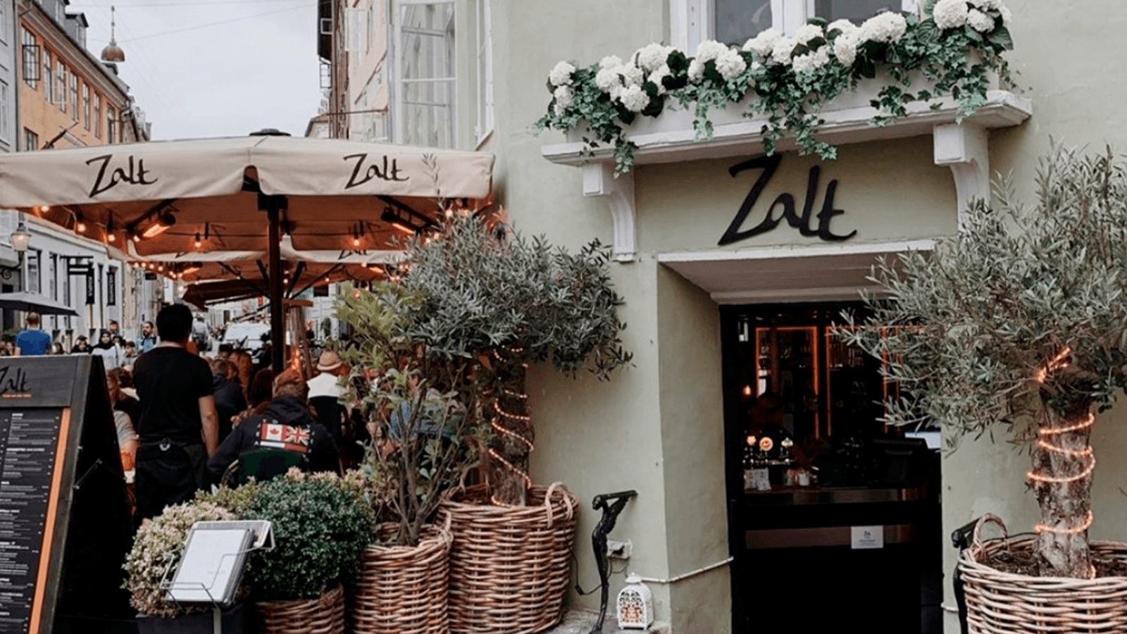 Zalt baggrunds billede