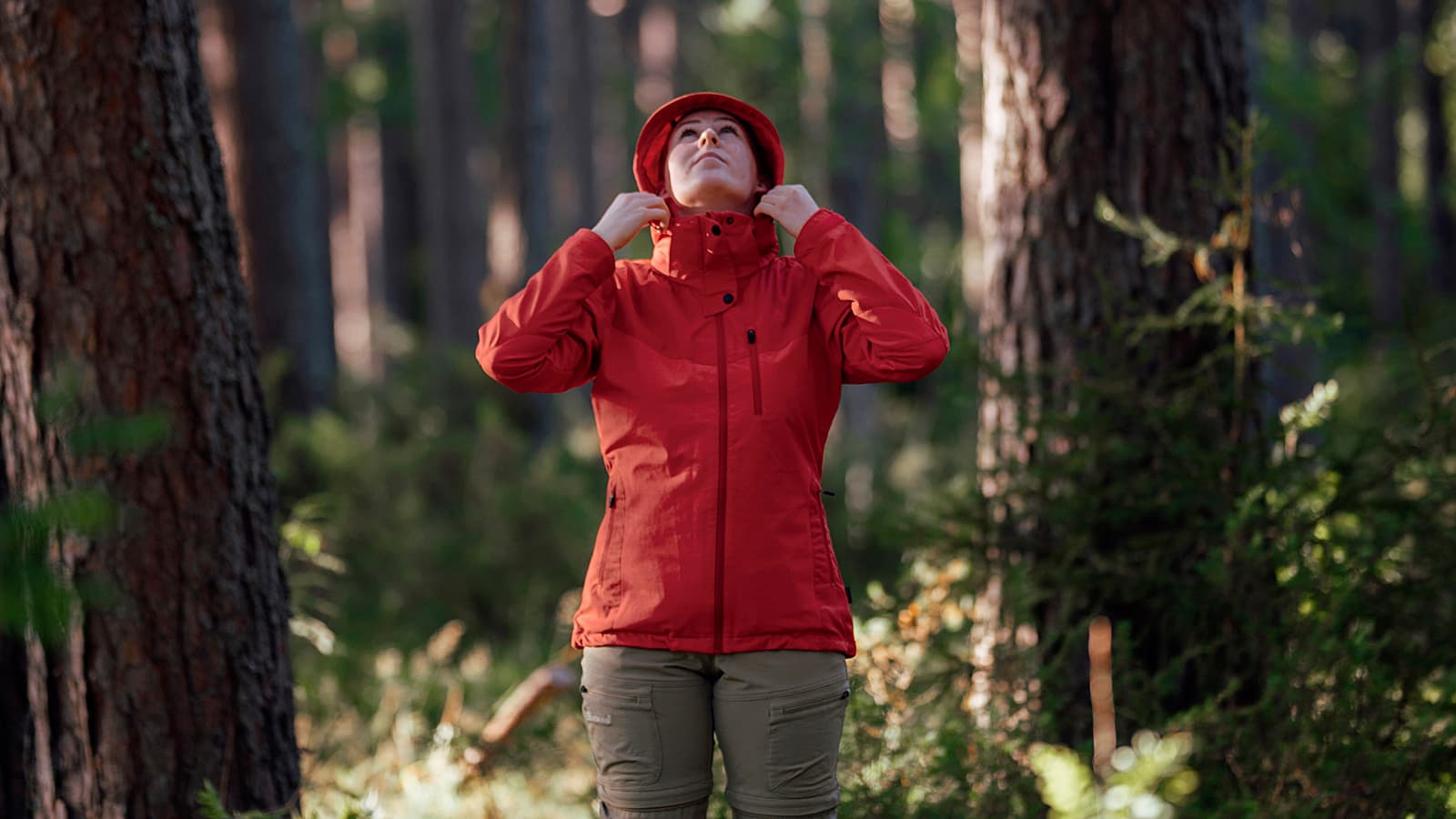 Naturting baggrunds billede