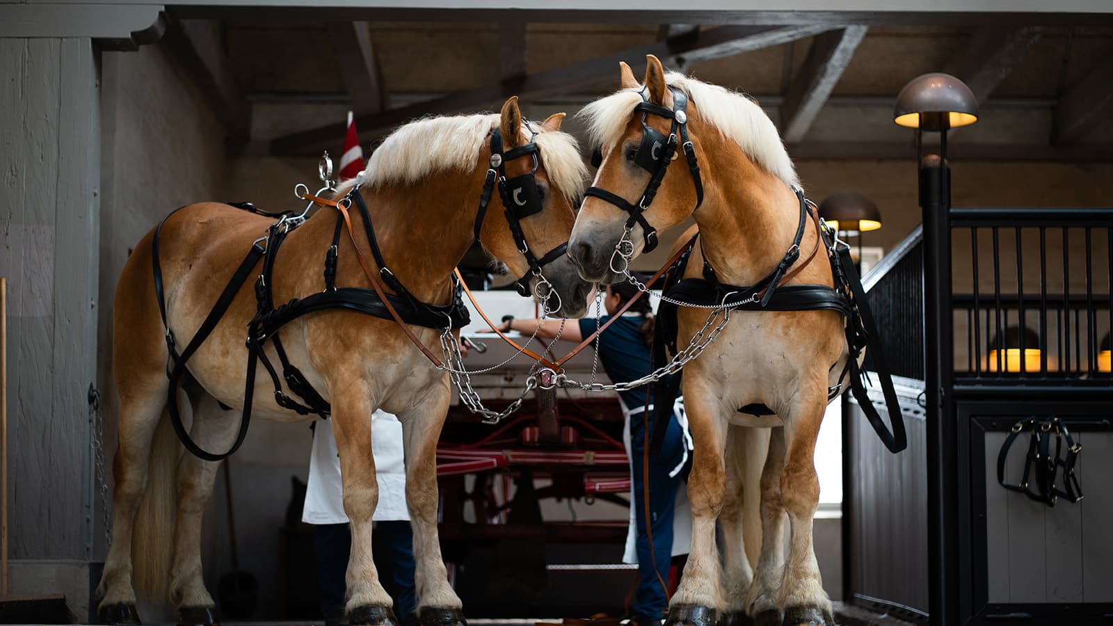 Home of Carlsberg baggrunds billede