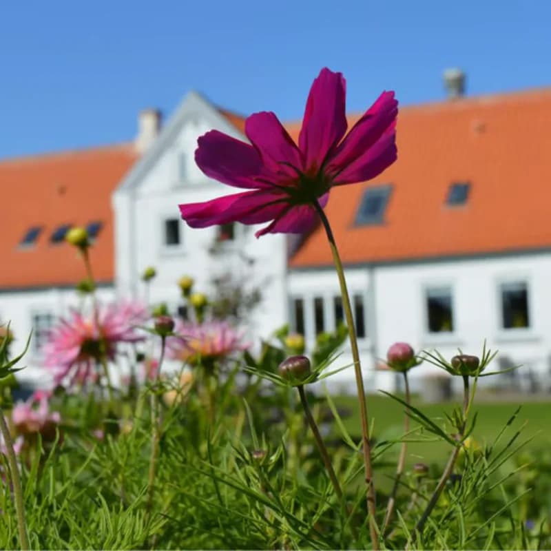 Aalbæk Badehotel - Ålbæk baggrunds billede