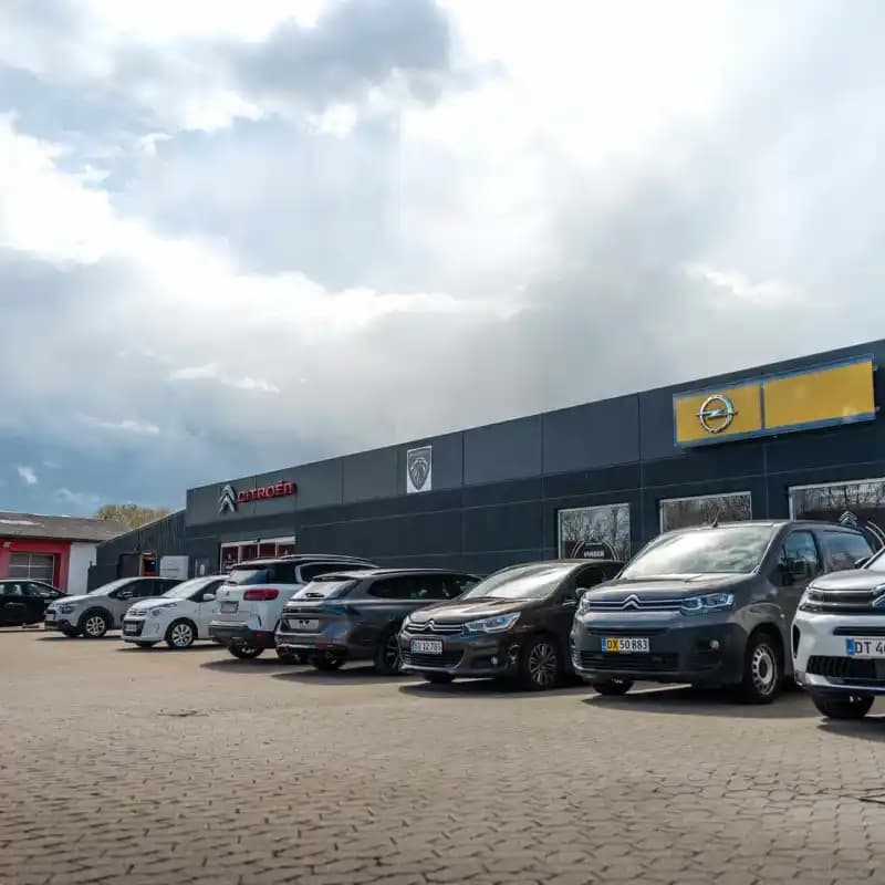 Linnebæk Stenløse baggrunds billede