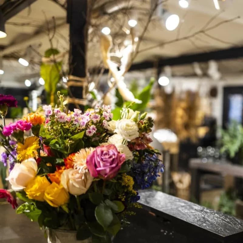 House of Inspiration - Holmegården baggrunds billede