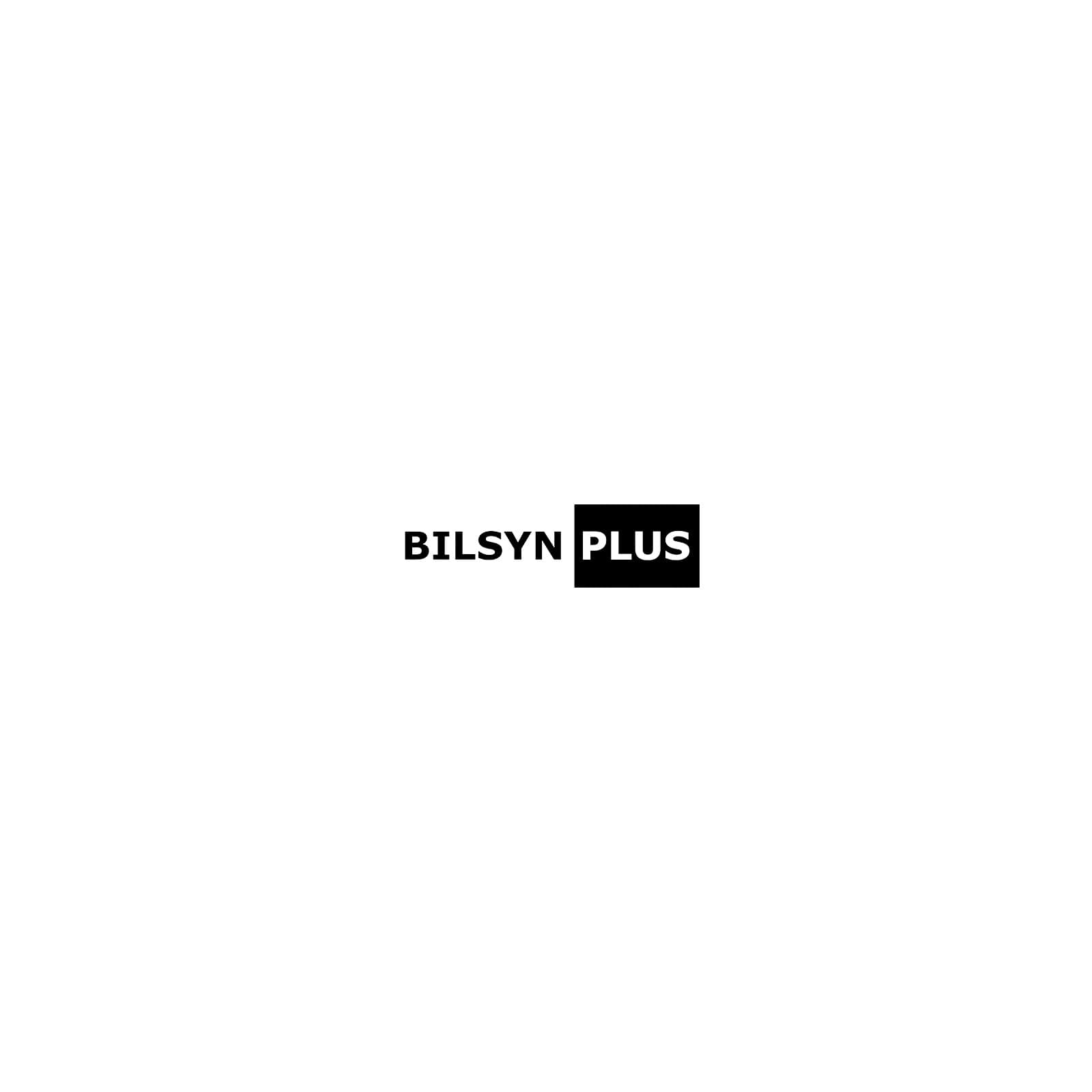 Bilsyn Plus - Svendborg-logo