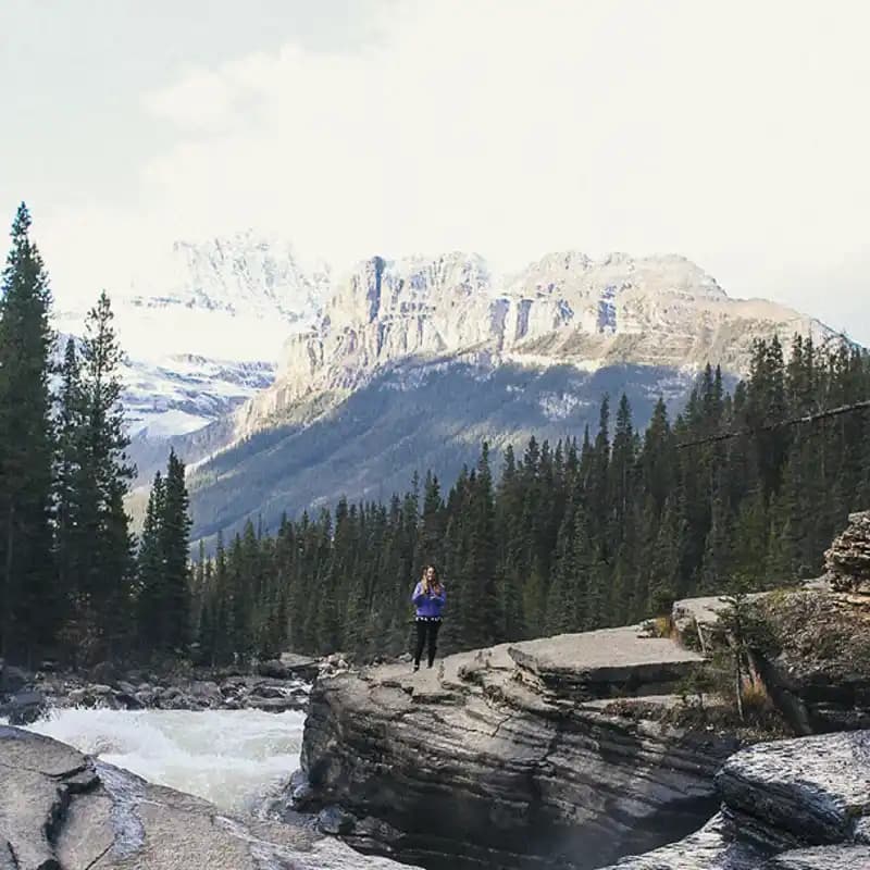 Friluftsland - Kgs.Lyngby baggrunds billede